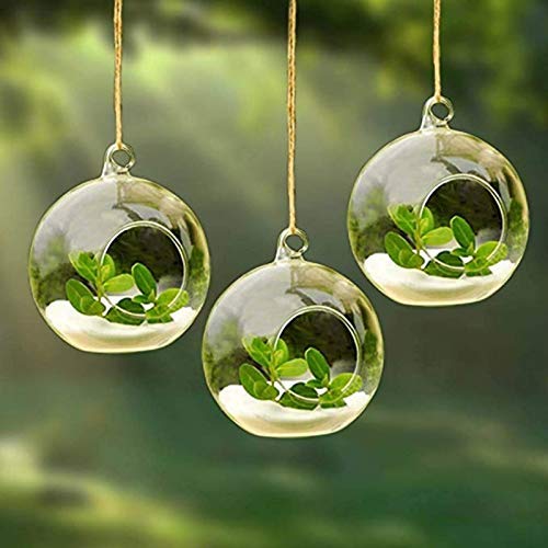 Hanging Tealight Candle Holder Glass Globes Terrarium Orbs 6 Pcs P...