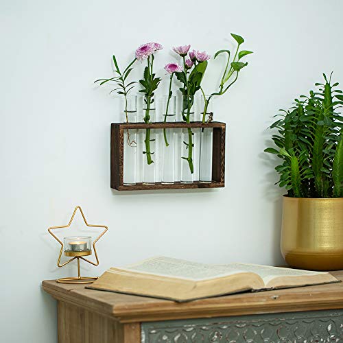 Wall Hanging Glass Planter Propagation Station Modern Wall Mounted...