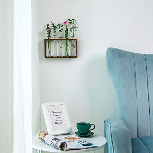 Wall Hanging Glass Planter Propagation Station Modern Wall Mounted...