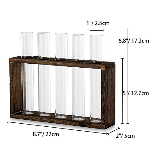 Wall Hanging Glass Planter Propagation Station Modern Wall Mounted...