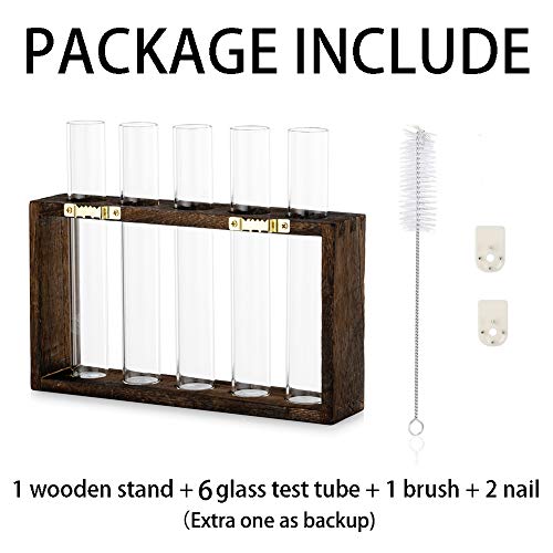 Wall Hanging Glass Planter Propagation Station Modern Wall Mounted...