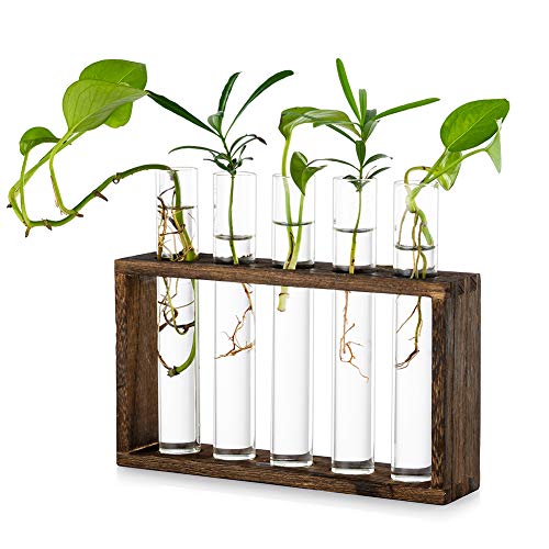 Wall Hanging Glass Planter Propagation Station Modern Wall Mounted...