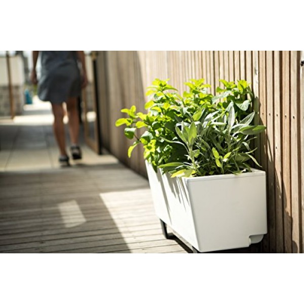 Glowpear Urban Garden Self-Watering Mini Bench Planter