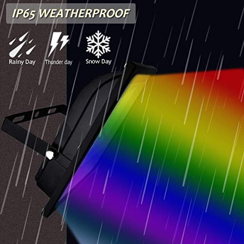 GLW 50w Remote Control RGB Flood Light, 4 Models with 16 Color Ton...