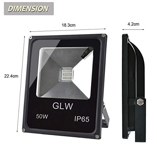 GLW 50w Remote Control RGB Flood Light, 4 Models with 16 Color Ton...