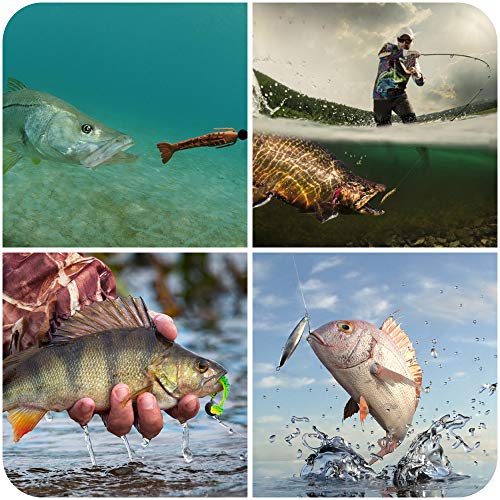 GOANDO Fishing Lures Kit for Freshwater Bait Tackle Kit for Bass T...