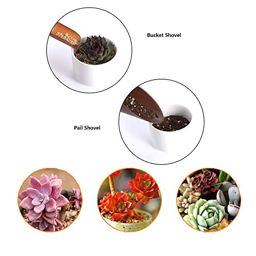 godehone 13PCS Succulent Tools Set, Mini Garden Hand Tools Set for...