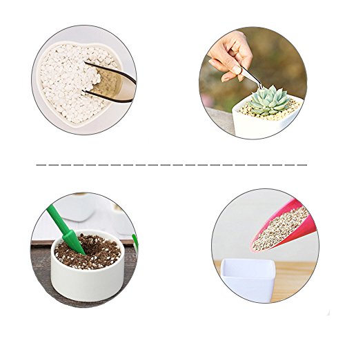 godehone 13PCS Succulent Tools Set, Mini Garden Hand Tools Set for...