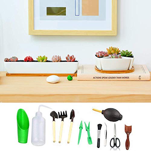 godehone 13PCS Succulent Tools Set, Mini Garden Hand Tools Set for...