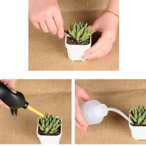 godehone 13PCS Succulent Tools Set, Mini Garden Hand Tools Set for...