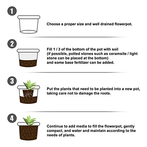 Root Fertilizer, Concentrate Root Stimulator Plant Starter Solutio...