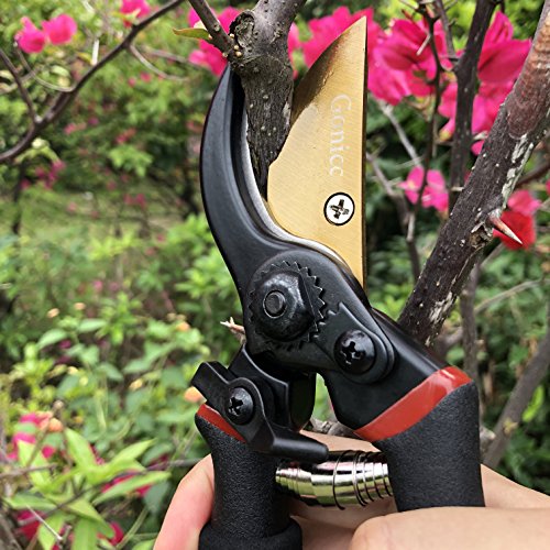 gonicc 8 Professional Premium Titanium Bypass Pruning Shears GPP...