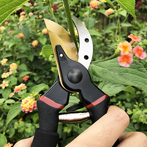 gonicc 8 Professional Premium Titanium Bypass Pruning Shears GPP...