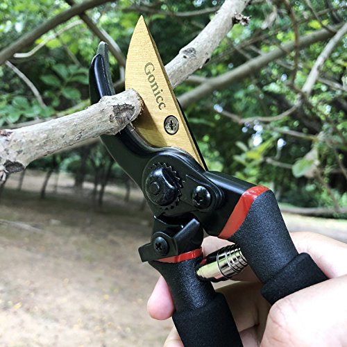 gonicc 8 Professional Premium Titanium Bypass Pruning Shears GPP...