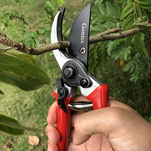 gonicc 8 Professional Sharp Bypass Pruning Shears GPPS-1002, Tr...