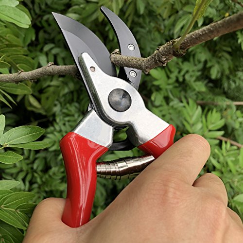 gonicc 8 Professional Sharp Bypass Pruning Shears GPPS-1002, Tr...
