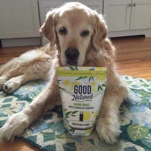 Good Natured Brand Saving Grace Carpet & Upholstery Deodorizer, Eu...
