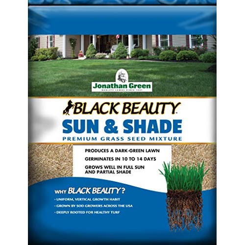 Jonathan Green 12002 Black Beauty Sun & Shade Grass Seed Mixture, ...