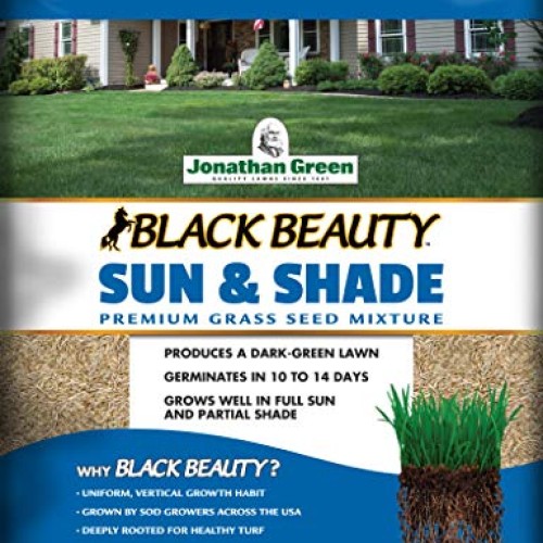 Jonathan Green 12002 Black Beauty Sun & Shade Grass Seed Mixture, ...
