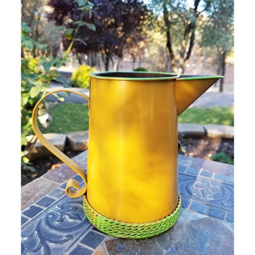 Country Chic Metal Watering Can with Raised Flowers Ladybug Butter...