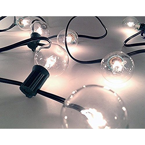 Goothy Clear Globe G40 Screw Base Light Bulbs Replacement 1.5-Inch...