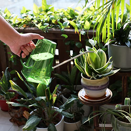 Watering Can, Goowin Watering Can Indoor Plants, Long Spout 47 oz ...