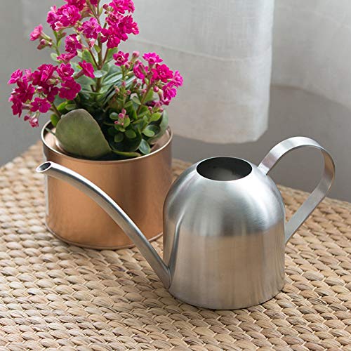 Goscrazy Metal Mini Watering Can with Long Mouth,500ml/17.6Oz Tiny...