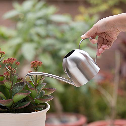 Goscrazy Metal Mini Watering Can with Long Mouth,500ml/17.6Oz Tiny...