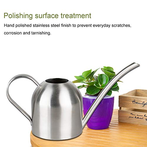 Goscrazy Metal Mini Watering Can with Long Mouth,500ml/17.6Oz Tiny...