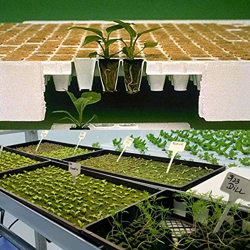 Grow Plug, Plant Grow Plug 50PCS 25x25x40mm Rockwool Plant Starter...