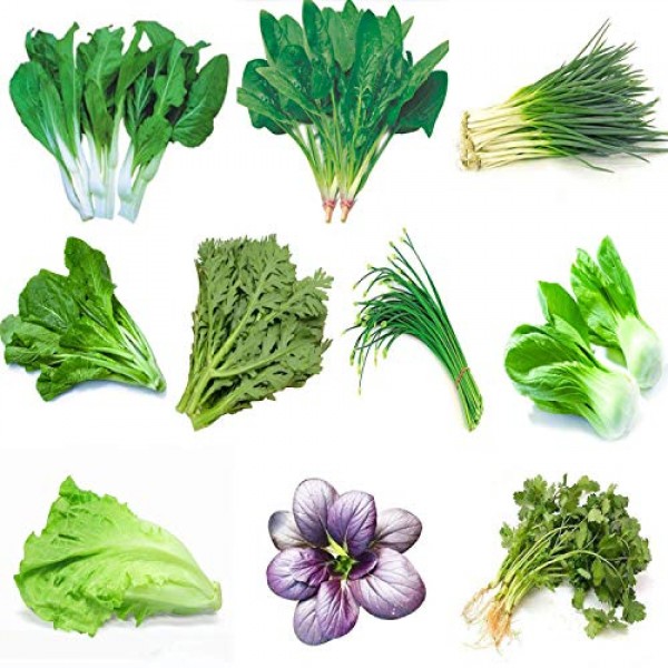 10-Pack Garden Vegetable Green Organic Seeds Different Varieties Q...