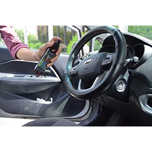 Grandpa Guss Deodorizing Air Freshening Spray, Deodorizer for Sho...