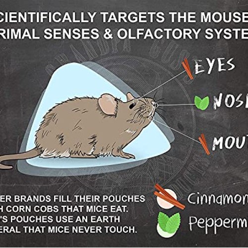 Grandpa Guss Extra-Strength Mouse Repellent, Cinnamon/Peppermint ...