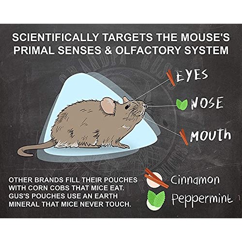 Grandpa Guss Extra-Strength Mouse Repellent, Cinnamon/Peppermint ...