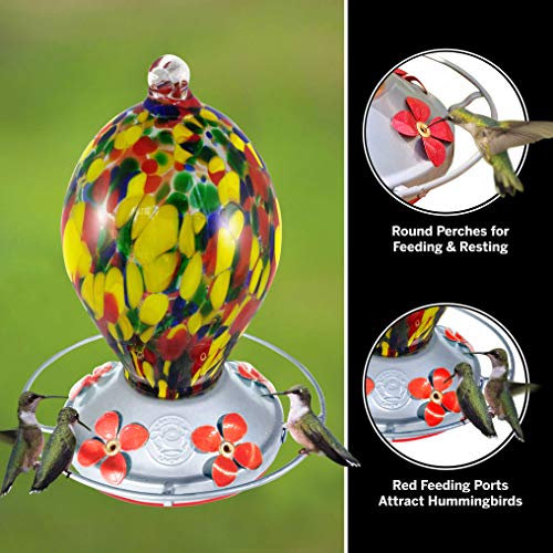 Grateful Gnome - Hummingbird Feeder - Hand Blown Glass - Speckled ...