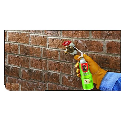 Great Stuff 11000714 Pestblock, 12 oz. Pack of 8
