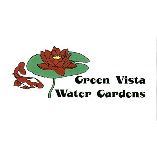 Green Vista Deluxe Knitted Pond NET/Netting - 10x10 Feet Size for ...