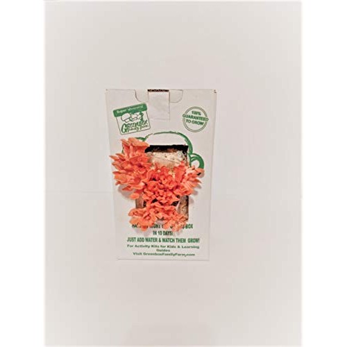 March Madness Sale - This Mushroom Grow Kit, Produces Over 1 Pound...