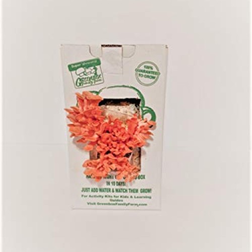 March Madness Sale - This Mushroom Grow Kit, Produces Over 1 Pound...