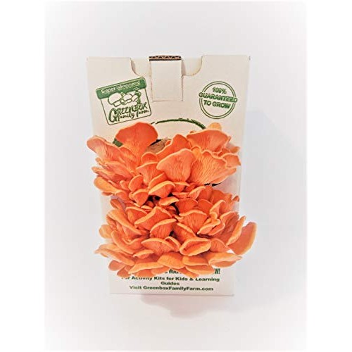 March Madness Sale - This Mushroom Grow Kit, Produces Over 1 Pound...