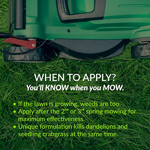 GreenView 2129268 Fairway Formula Spring Fertilizer Weed & Feed + ...