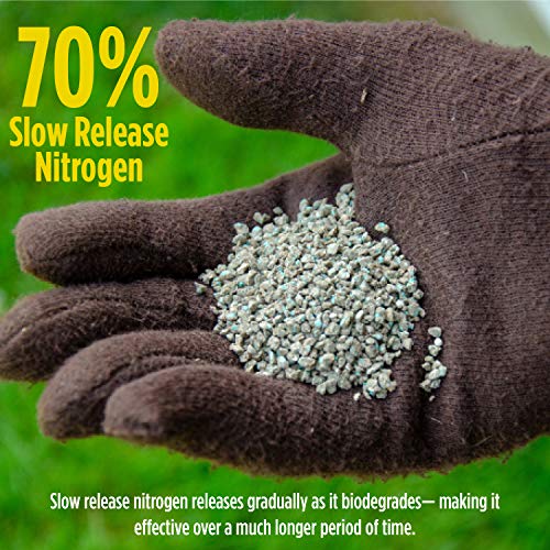 GreenView 2756714 Turf Nurture Natural Base Lawn Fertilizer, 8.33 lb
