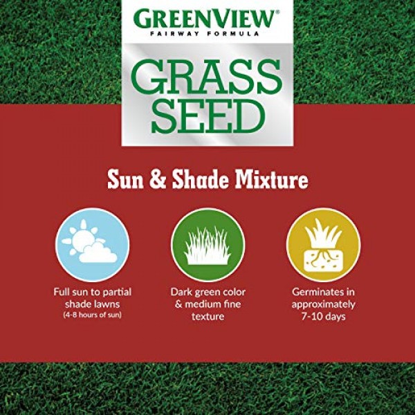 GreenView 2829336 Fairway Formula Grass Seed Sun & Shade Mixture, ...