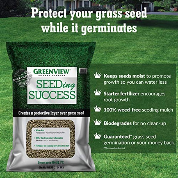 GreenView 2829336 Fairway Formula Grass Seed Sun & Shade Mixture, ...