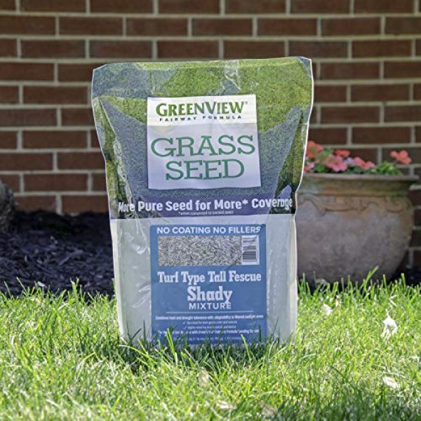 GreenView 2829349 Fairway Formula Grass Seed Turf Type Tall Fescue...