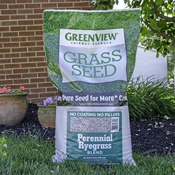 GreenView 2829355 Fairway Formula Grass Seed Perennial Ryegrass Bl...
