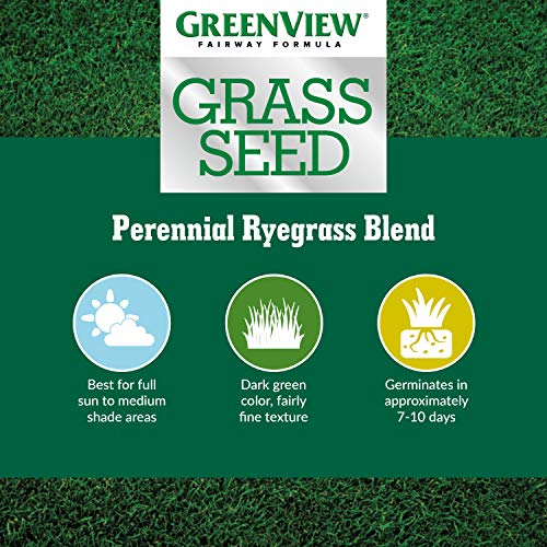 GreenView Fairway Formula Grass Seed Perennial Ryegrass Blend - 7 ...