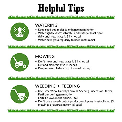 GreenView Fairway Formula Grass Seed Perennial Ryegrass Blend - 7 ...