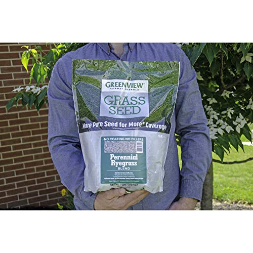 GreenView Fairway Formula Grass Seed Perennial Ryegrass Blend - 7 ...