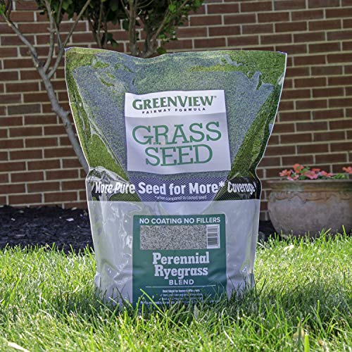 GreenView Fairway Formula Grass Seed Perennial Ryegrass Blend - 7 ...